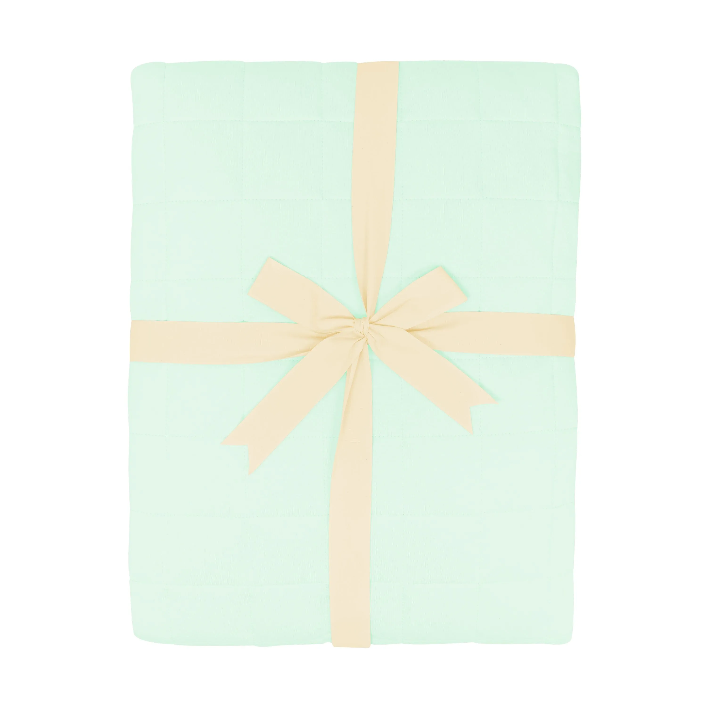 Adult Quilted Blanket in Mint 2.5