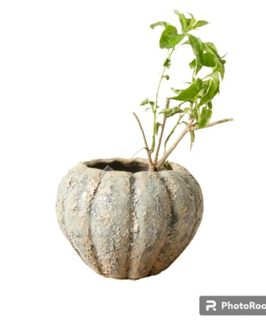Antique Pumpkin Planter Vintage Charm for Your Garden