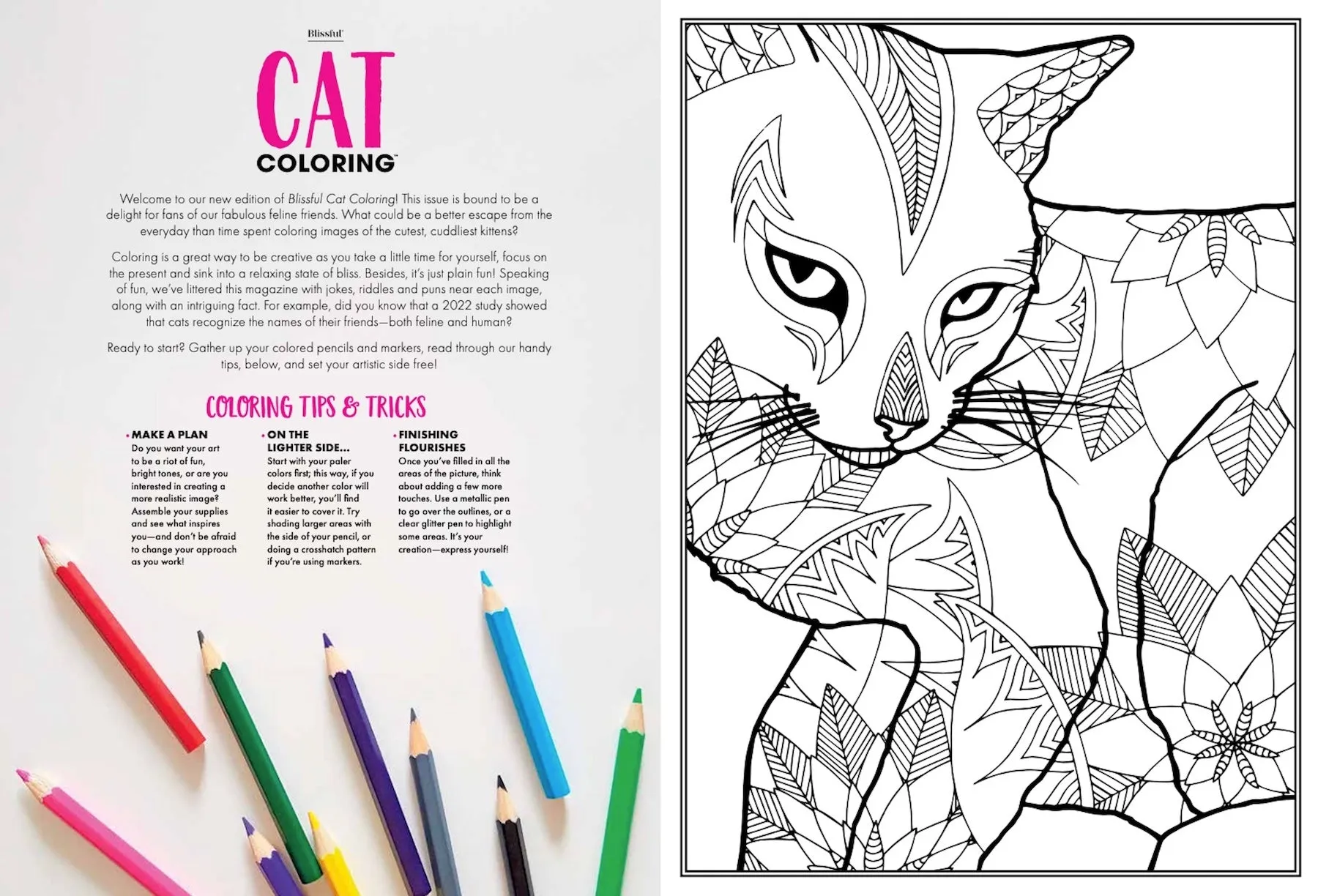 Blissful - Cat Coloring Book: 32 Inspiring Designs, 50  Images Unique To This Release