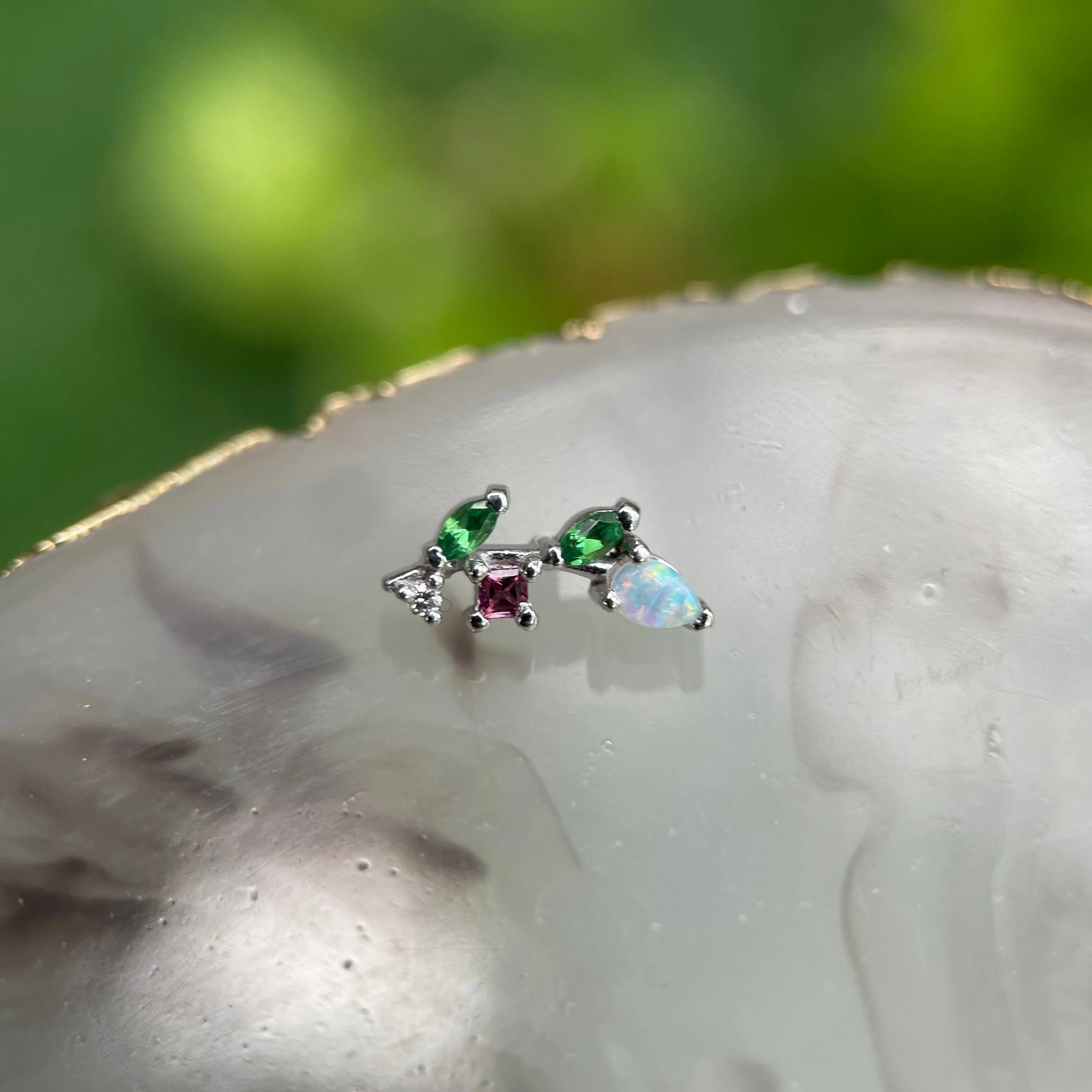 BVLA Tiny Jasmine