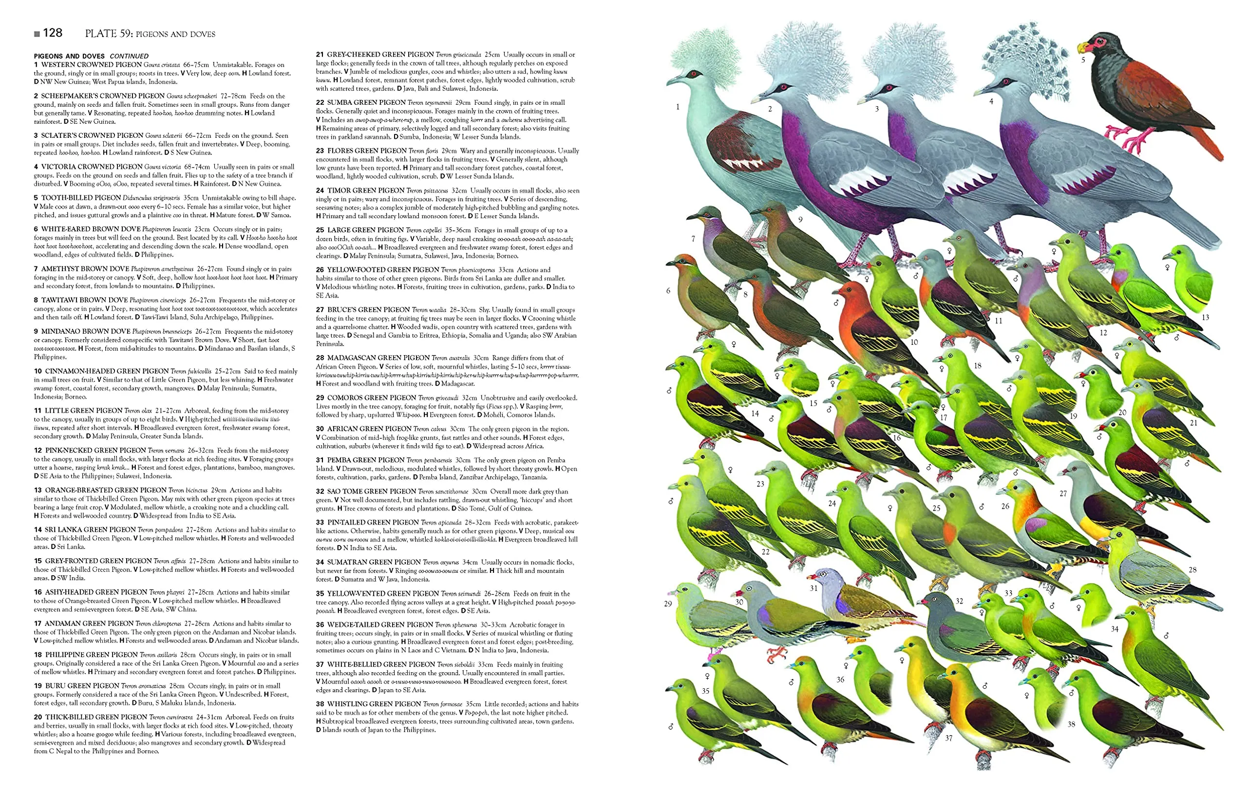 Collins Birds of the World