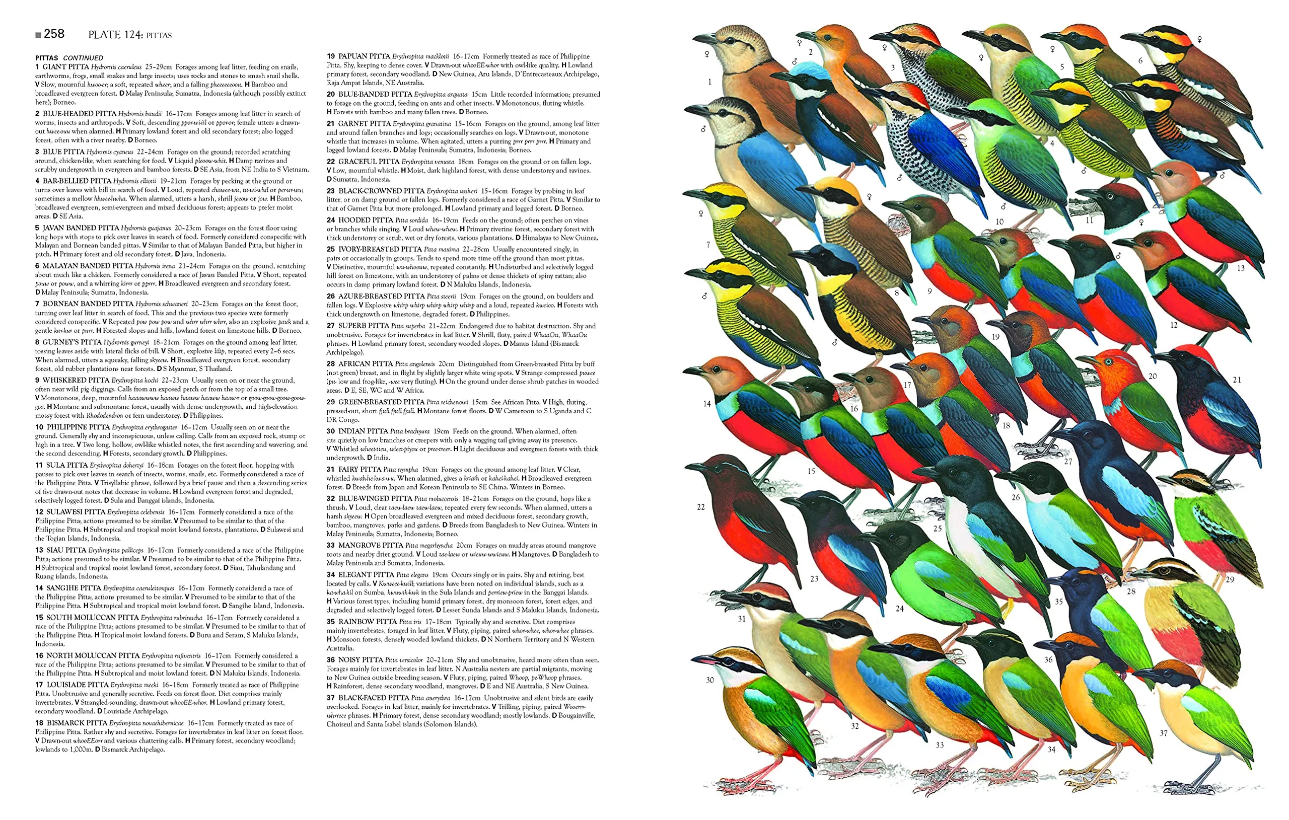 Collins Birds of the World