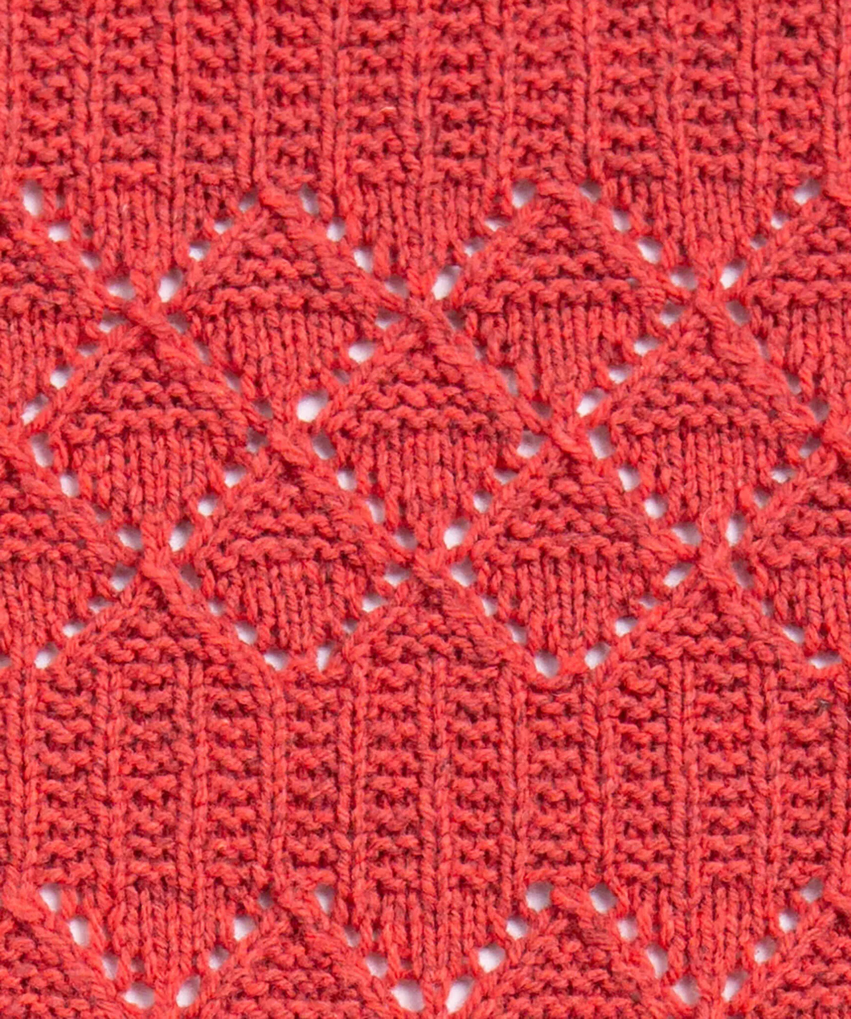 Forest Stroll Blanket