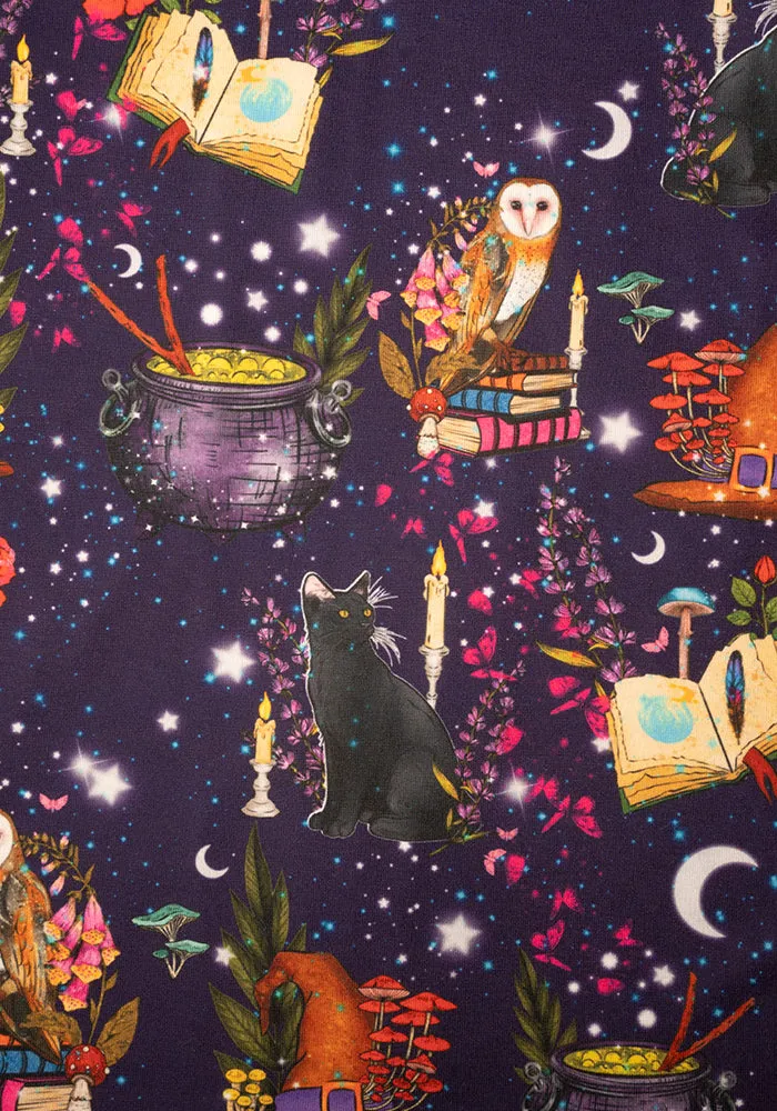 Magic Mystical Owl Print Dress